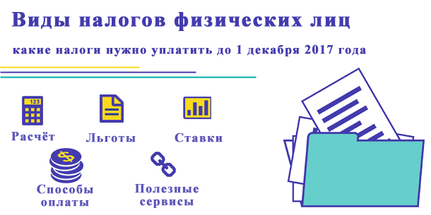 Виды налогов физических лиц — какие нужно уплатить до 1 декабря 2018 года